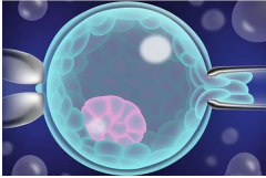 <b>质量不佳的胚胎转为囊胚后对成功率影响大吗？</b>