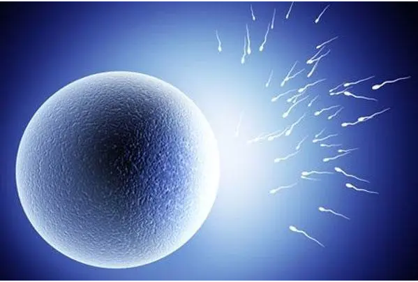 试管胚胎质量差是否会影响移植成功率？