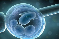 <b>试管婴儿移植单胚和双胚哪种的成功率更高？</b>