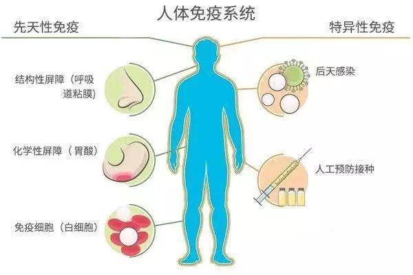 试管婴儿治疗前必须要做免疫系统测试吗？