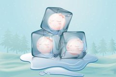 <b>试管婴儿的胚胎如果冷冻的时间过长会降低成功率吗</b>