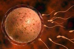 卵泡质量差做试管婴儿孕育出的胎儿会有问题吗