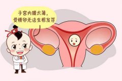 沈阳助孕子宫内膜太薄对试管婴儿的成功率有多