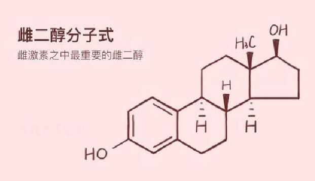 试管婴儿进周前检测雌激素是为什么？雌激素对于排卵进周的意义