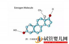 <b>试管婴儿进周前检测雌激素是为什么</b>