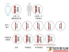 夫妻染色体没问题,为什么胚胎染色体异常就有问