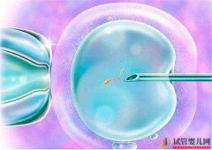 试管前如何评估卵巢功能提高试管成功率的方法
