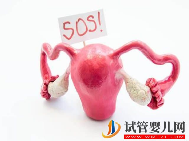 没有子宫的女性在中国不能生孩子