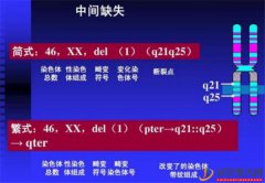 哪些遗传性疾病可以通过三代试管技术PGD_PGS筛查