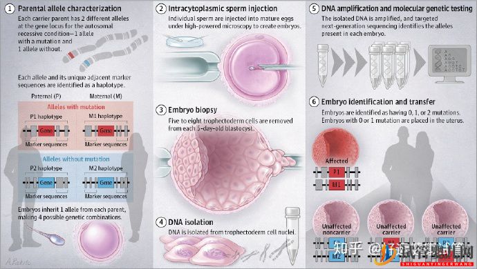 试管婴儿网:无家族遗传病史的夫妻有必要做第三代试管(图7)